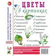 russische bücher:  - Цветы в картинках. Наглядное пособие для педагогов, воспитателей, логопедов, родителей.