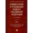 russische bücher: Бриллиантов Александр Владимирович - Комментарий к Уголовному кодексу Российской Федерации (постатейный). В 2-х томах. Том 1