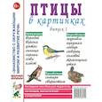 russische bücher:  - Птицы в картинках. Вып. 1. Наглядное пособие для педагогов, логопедов, воспитателей и родителей.