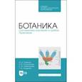 russische bücher: Савинов Иван Алексеевич - Ботаника.Систематика растений и грибов.Практикум.Учебное пособие для СПО
