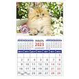 russische bücher:  - Календарь Год кота. Пушистый красавчик на 2023 год