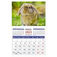 russische bücher:  - Календарь Год кролика. Обаятельный и привлекательный, на 2023 год