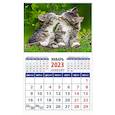 russische bücher:  - Календарь Год кота. Кошачьи нежности на 2023 год