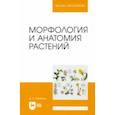 russische bücher: Румянцев Денис Евгеньевич - Морфология и анатомия растений. Учебное пособие