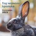 russische bücher:  - Год черного кролика. Календарь настенный на 2023 год