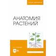 russische bücher: Румянцев Денис Евгеньевич - Анатомия растений. Учебное пособие