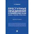 russische bücher: Мондохонов Андрей Николаевич - Преступные объединения в уголовном праве России. Закон, теория, практика