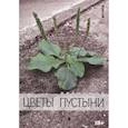 russische bücher: Бранимир (Паршинков А.Г.) - Цветы пустыни: сборник эссе и интервью (Умка, Рада, Манагер, А. Чернецкий...)