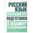 russische bücher: Балуш Татьяна Владимировна - Русский язык. Практический курс подготовки к экзамену и тестированию