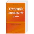 russische bücher: В. А. Шавин - Трудовой кодекс РФ в схемах. Учебное пособие