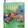 russische bücher: Чудинова Елена Васильевна - Окружающий мир. 1 класс. Учебное пособие. В 2-х частях. ФГОС