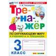 russische bücher: Тихомирова Елена Михайловна - Окружающий мир. 3 класс. Тренажёр. К учебнику А. А. Плешакова. ФГОС