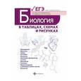 russische bücher: Заяц Р.Г. - Биология в таблицах, схемах и рисунках